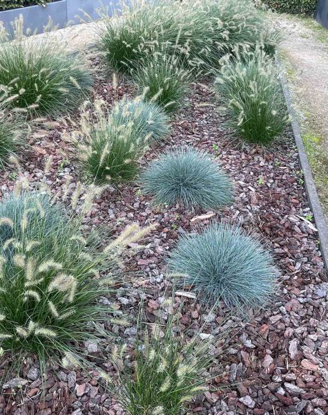 Algemeen tuinonderhoud beplanting haag gras maaien zemst elewijt