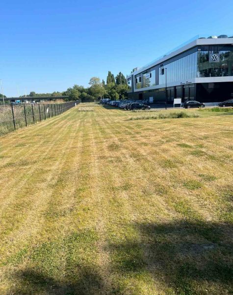 Algemeen tuinonderhoud beplanting haag gras maaien zemst elewijt