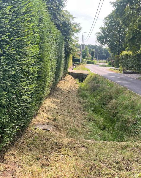Algemeen tuinonderhoud snoeien haag gras maaien zemst elewijt