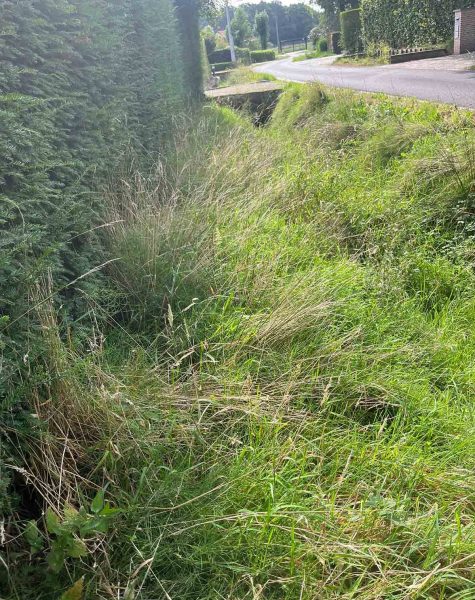 Algemeen tuinonderhoud snoeien haag gras maaien zemst elewijt